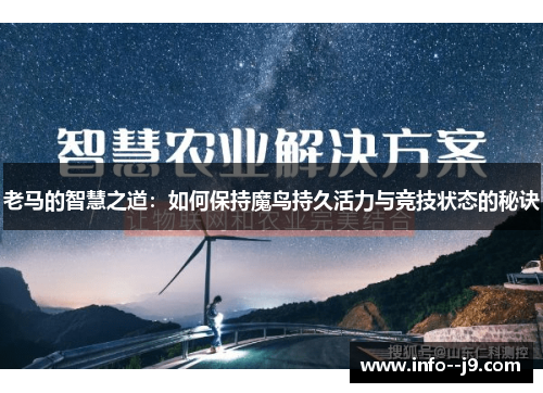 老马的智慧之道：如何保持魔鸟持久活力与竞技状态的秘诀