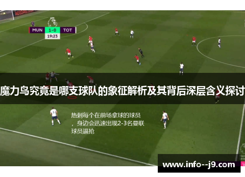魔力鸟究竟是哪支球队的象征解析及其背后深层含义探讨